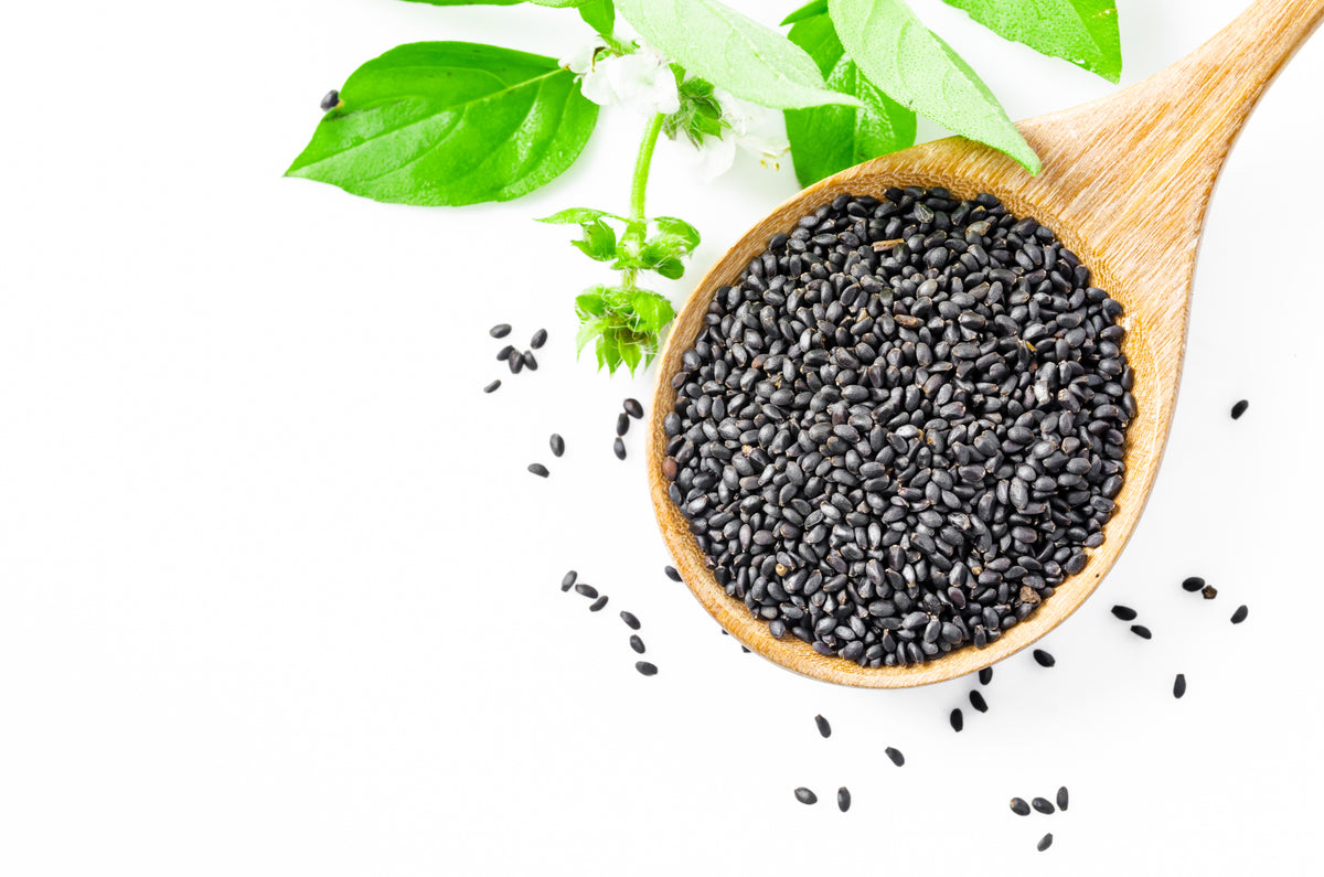 BIO Basilikum Samen 300g