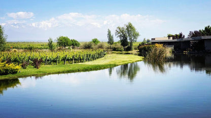 Apátrida Malbec Wein (Rose) 2021/2024