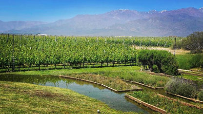 Apátrida Malbec Wein (Blend/Super Premium/Barrel Fermented) 2022/2023
