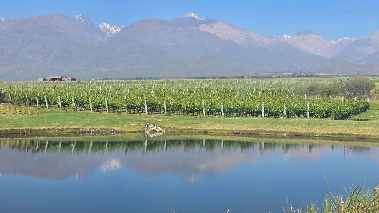 Apátrida Malbec Wein (Rose) 2021/2024