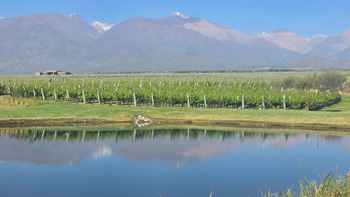 Apátrida Malbec Wein (Blend/Super Premium/Barrel Fermented) 2022/2023